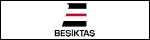 Beşiktaş Denizcilik Grubu