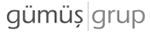 Gümüş Grup