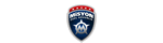 MİSYON SİTE BİNA TESİS ÖZEL GÜVENLİK HİZ. LTD.ŞTİ