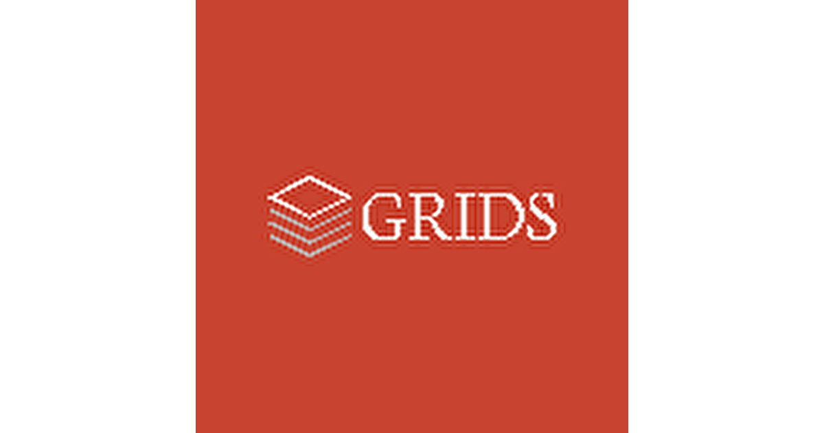 grids-software-developer-lan-kariyer