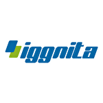 İggnita Makina Sanayi ve Ticaret Anonim Şirketi