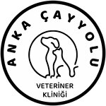 Anka Çayyolu veteriner kliniği