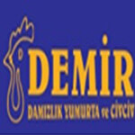 DEMİR DAMIZLIK CİVCİV VE YUMURTA ÜRETİM SANAYİ TİCARET ANONİM ŞİRKETİ