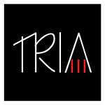 TRİA ELEKTRİK MÜHENDİSLİK LİMİTED ŞİRKETİ