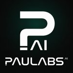 Paulabs Yazılım Anonim Şirketi