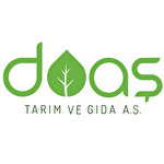 Muhasebe Uzmanı
