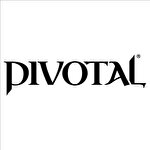 PİVOTAL KAPI SİSTEMLERİ SANAYİ VE TİCARET LİMİTED ŞİRKETİ