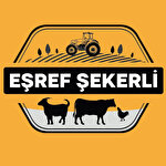 Makine Mühendisi