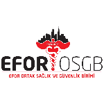 Efor Osgb