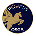 Pegasus İş Sağlığı Ve Güvenliği Hizmetleri...