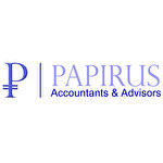PAPİRÜS SERBEST MUHASEBECİ MALİ MÜŞAVİRLİK ANONİM ŞİRKETİ