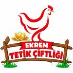 EKREM TETİK