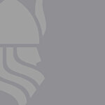 Viking International Ltd.