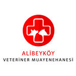 Alibeyköy Veteriner Hizmetleri
