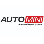 Auto Mini Otomotiv Onarım Hizmetleri A.Ş.