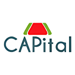 Capital Tasimacilik ve Dis ticaret Ltd Sti 