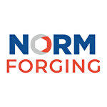 Norm Forging