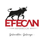 efecan hayvancılık tarım gıda san tic ltd şti