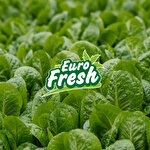 MB EUROFRESH GIDA SANAYİ VE TİCARET ANONİM ŞİRKETİ