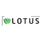 Lotus Konut Limited Şirketi