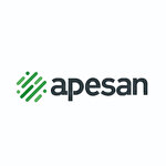 Apesan