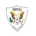 Mng Özel Güvenlik Hizmetleri Ltd. Şti.