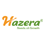 Hazera – Hibrit Sebze Tohumları