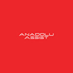 Anadolu Assıst Yardım ve Destek Hizmetleri Danışmanlık Organizasyon Anonim Şirketi