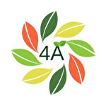 4A Çed İzin ve Denetim Limited Şirketi