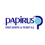 Papirus Kağıt