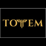 Totem İş Güvenliği Ekipmanları İnşaat Taahhüt Sanayi ve Ticaret Limited Şirketi