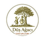 Düş ağacı eğitim danışmanlık